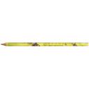 Image of BIC Evolution Classic Cut End Digital Ecolutions Pencil