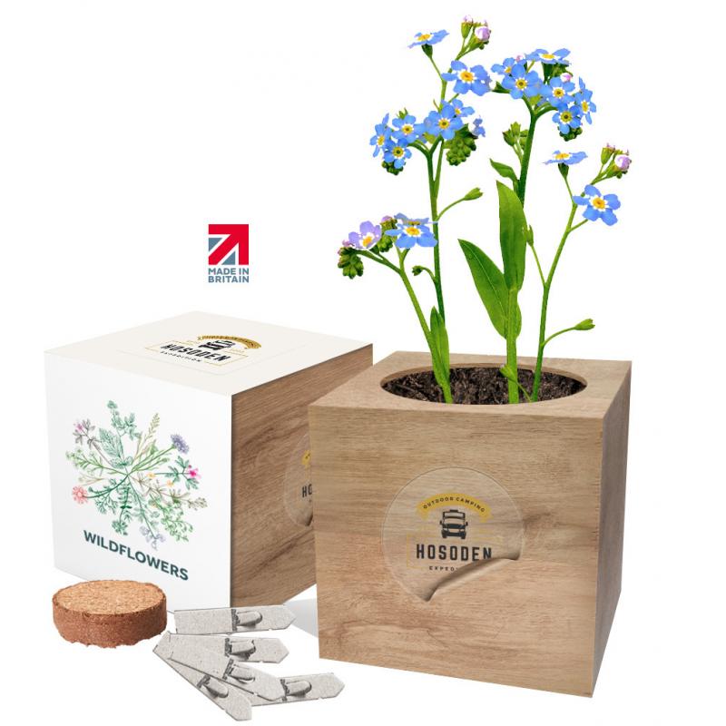 Image of Essential Desktop Cube Gardens